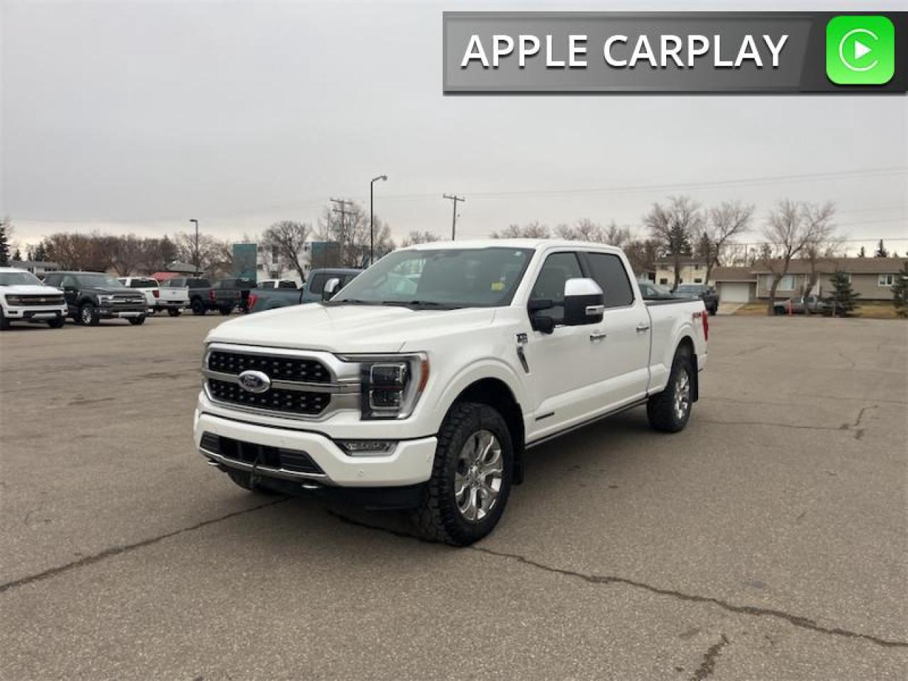 2022 Ford F-150 Platinum  - Leather Seats -  Cooled Seats Photo4