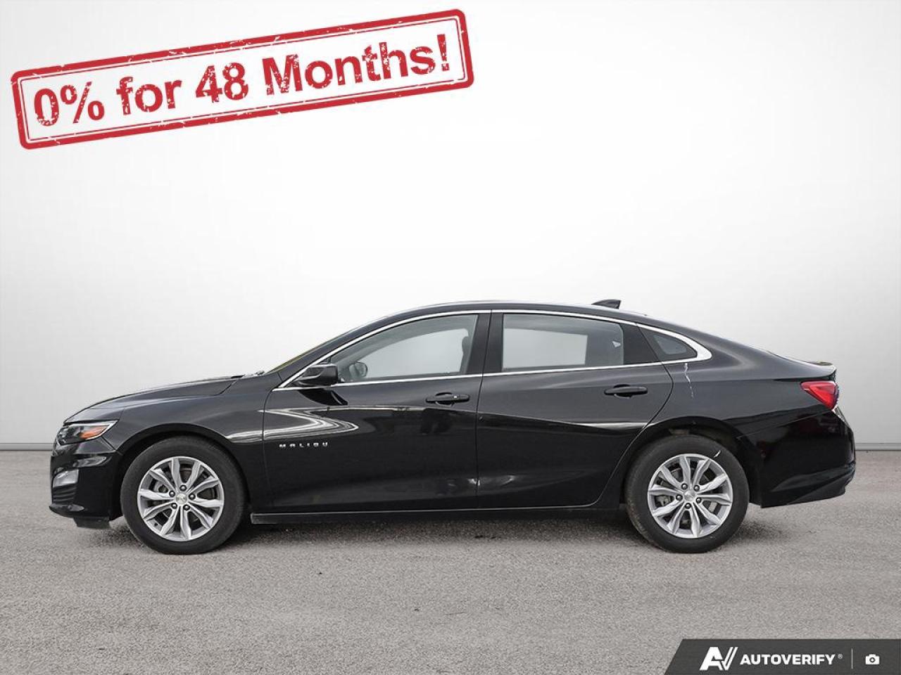 2023 Chevrolet Malibu 1LT Photo