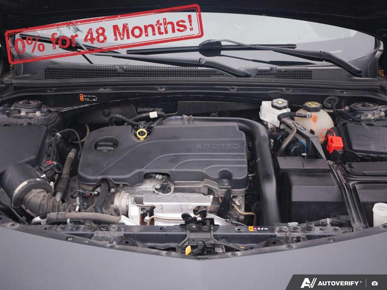 2023 Chevrolet Malibu 1LT Photo