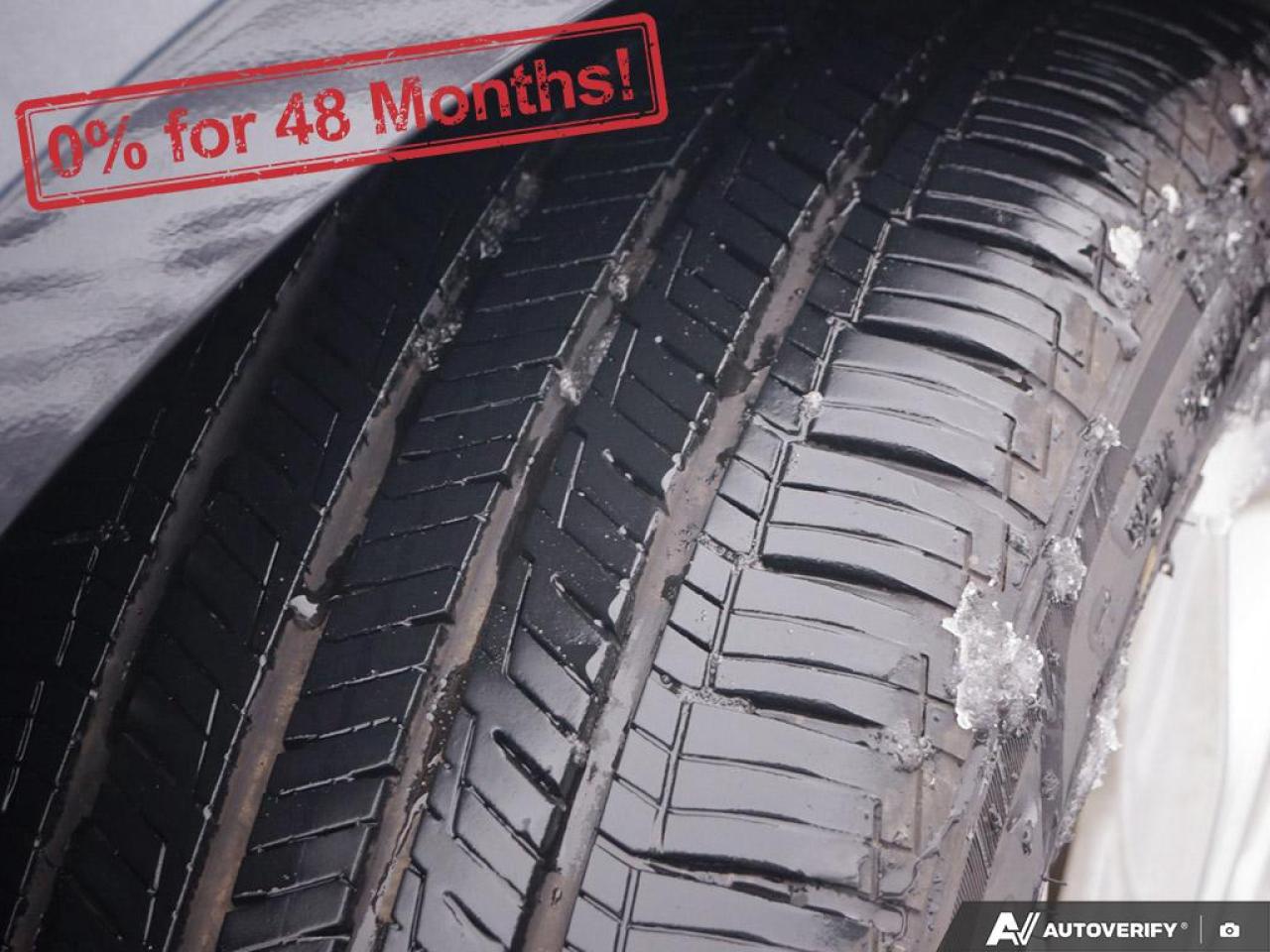 2023 Chevrolet Malibu 1LT Photo