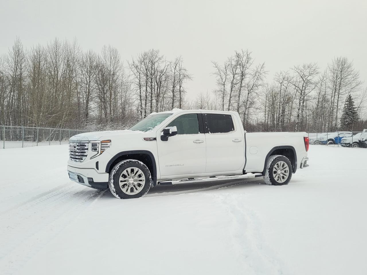 2024 GMC Sierra 1500 Denali Photo0