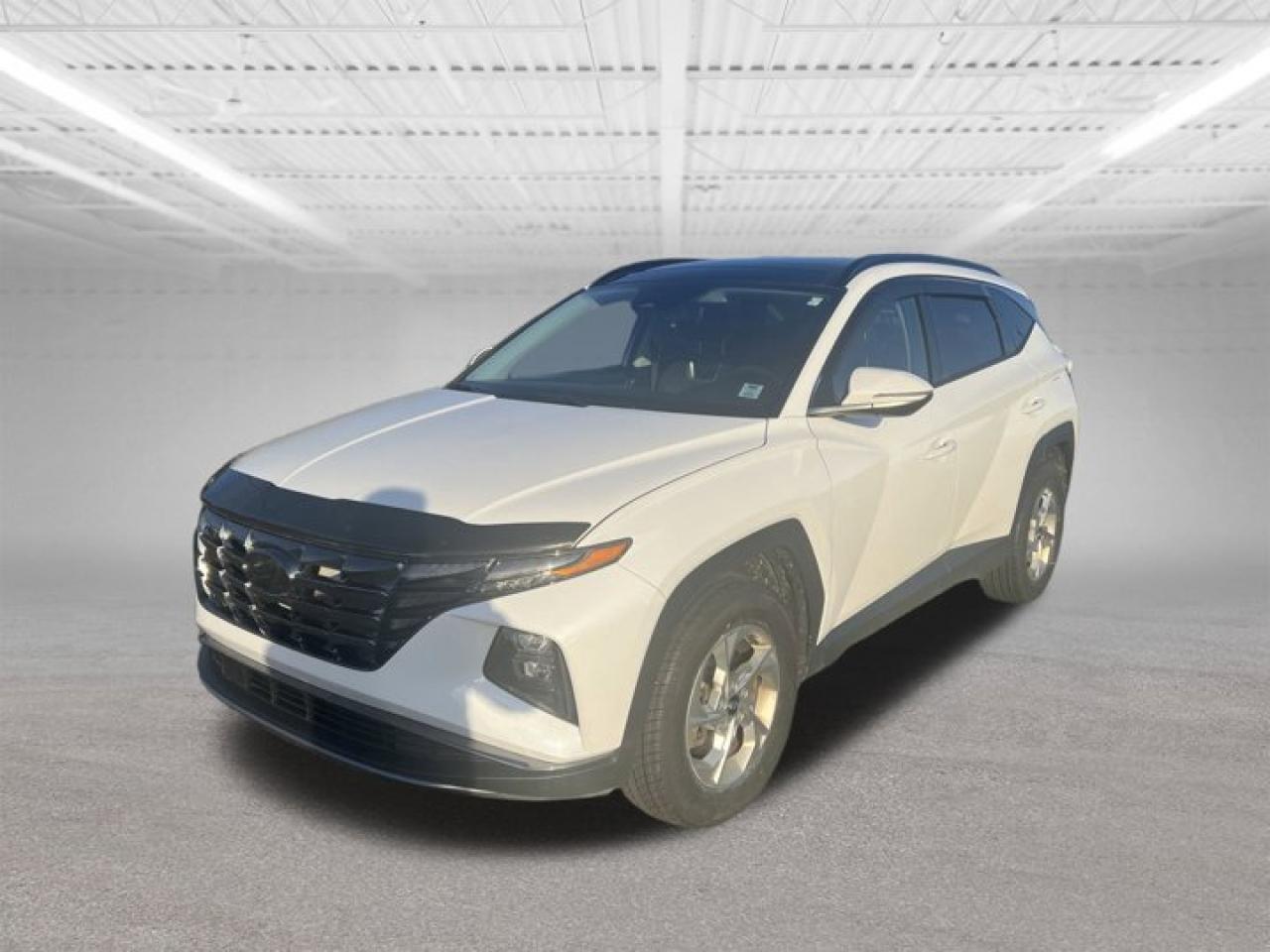 Used 2023 Hyundai Tucson Preferred for sale in Halifax, NS