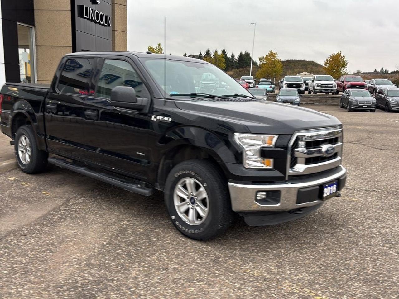 2016 Ford F-150 XLT Photo5