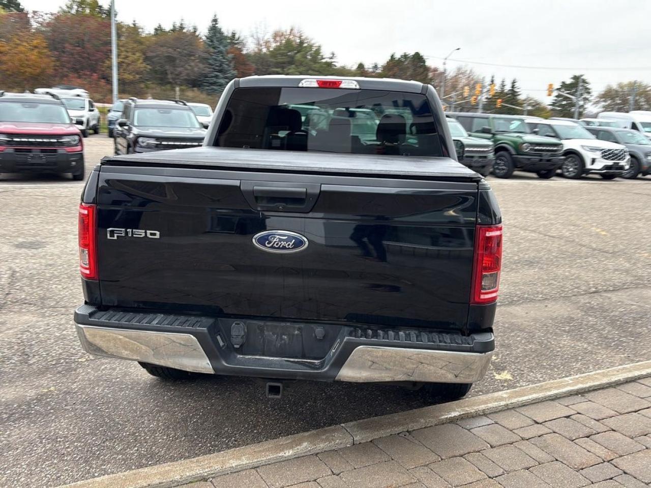 2016 Ford F-150 XLT Photo5