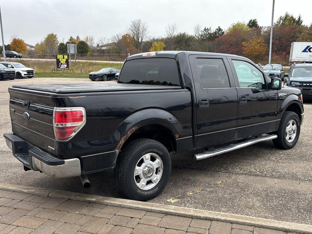 2014 Ford F-150 XLT Photo4