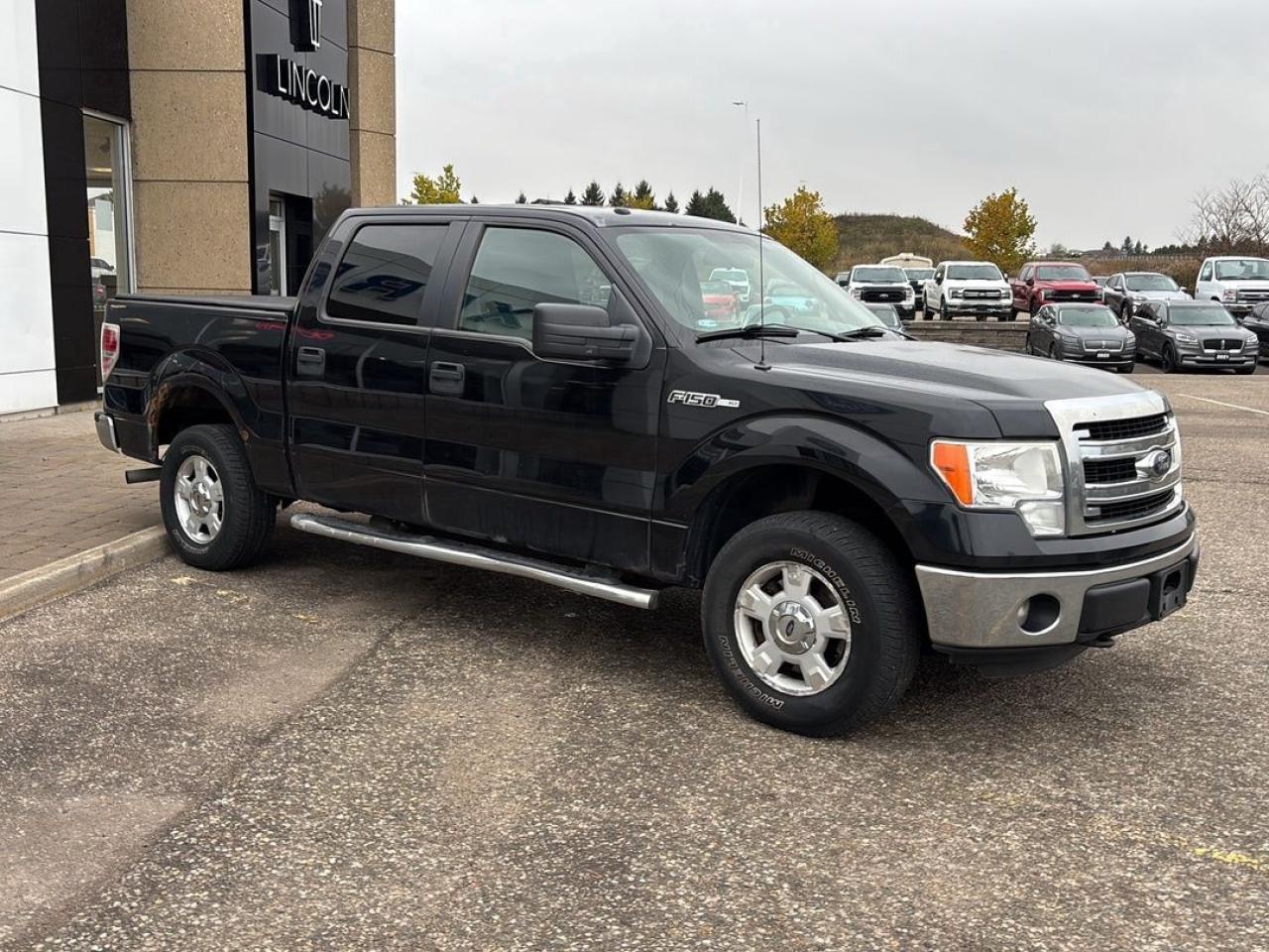2014 Ford F-150 XLT Photo5