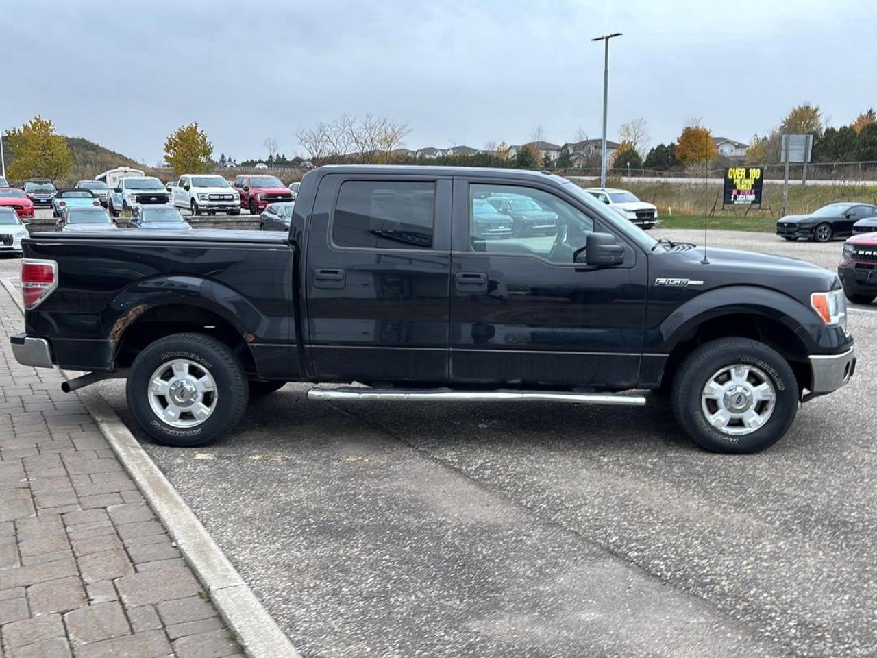 2014 Ford F-150 XLT Photo