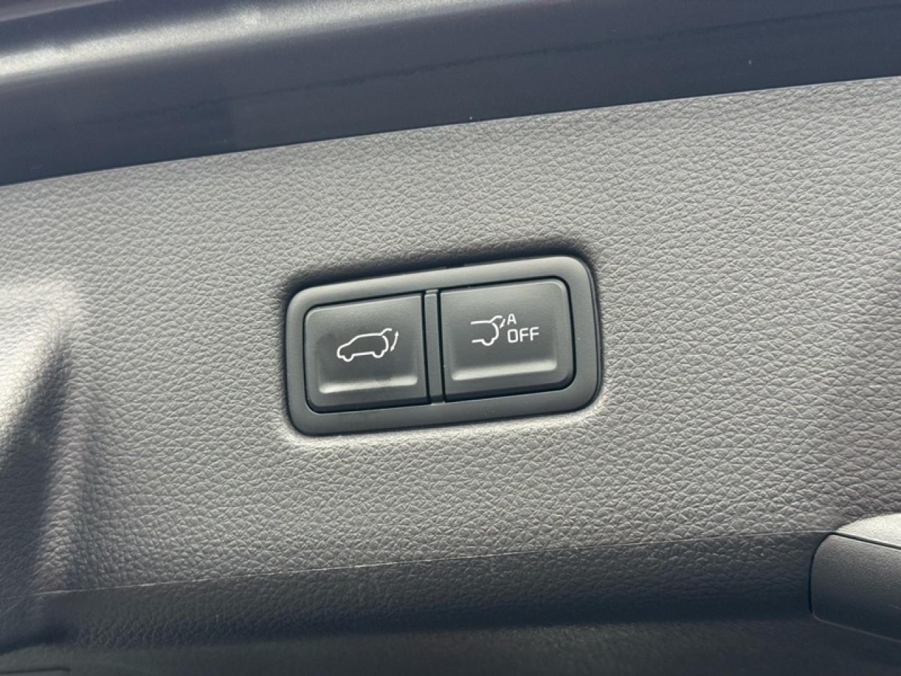 2024 Kia Carnival SX Photo