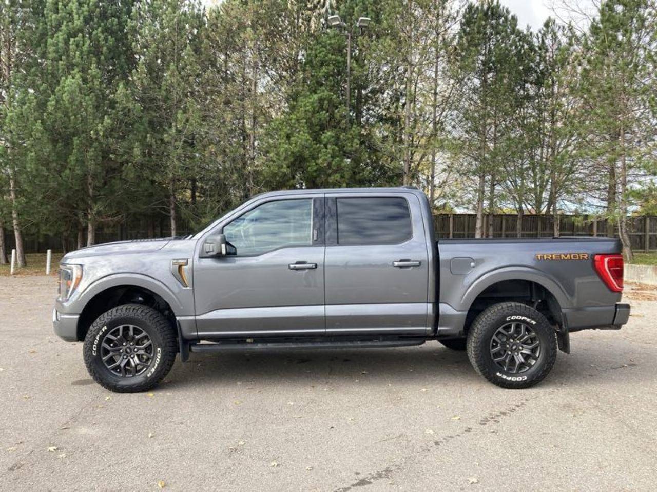2023 Ford F-150 Tremor 4WD SuperCrew 5.5' Box Photo