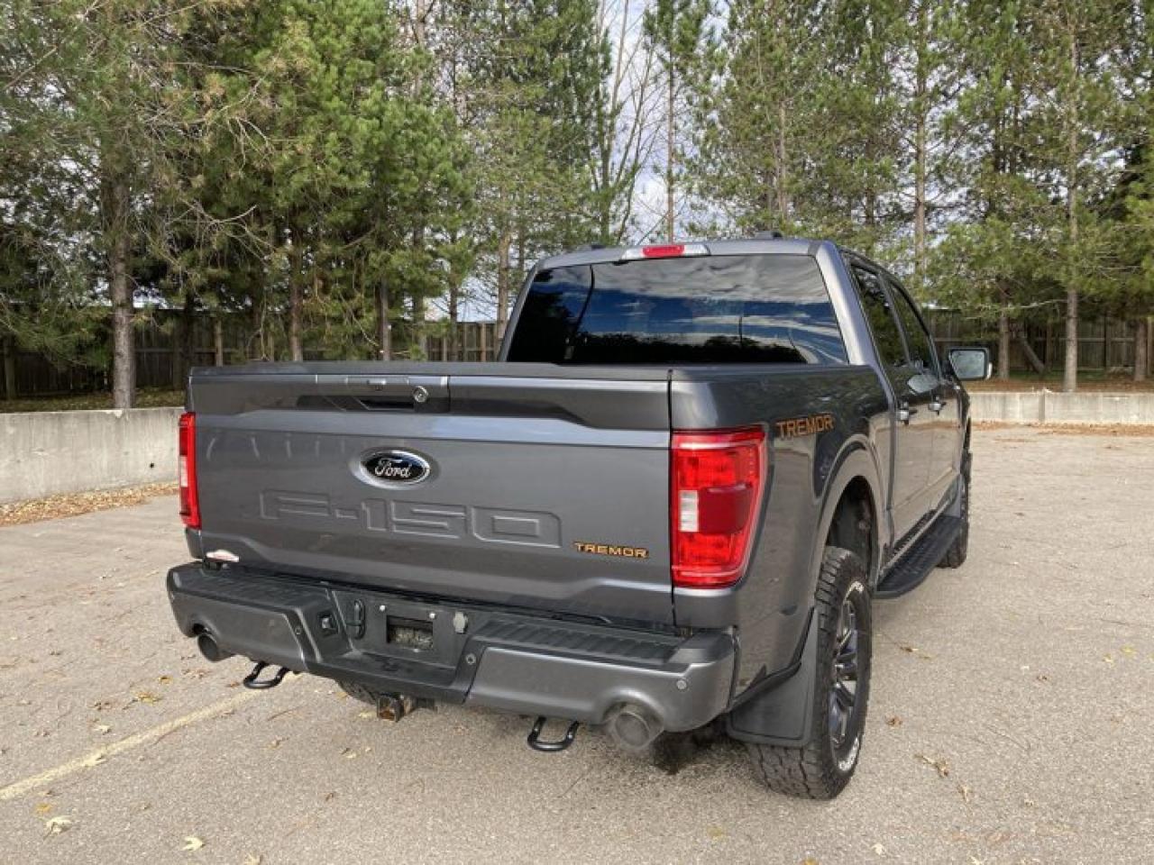 2023 Ford F-150 Tremor Crew | Leather Seats | Heated Seats | Remote Start Photo