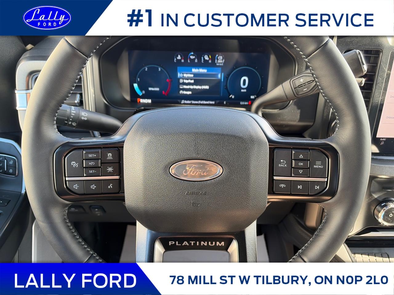 2026 Ford F-250 Platinum Photo