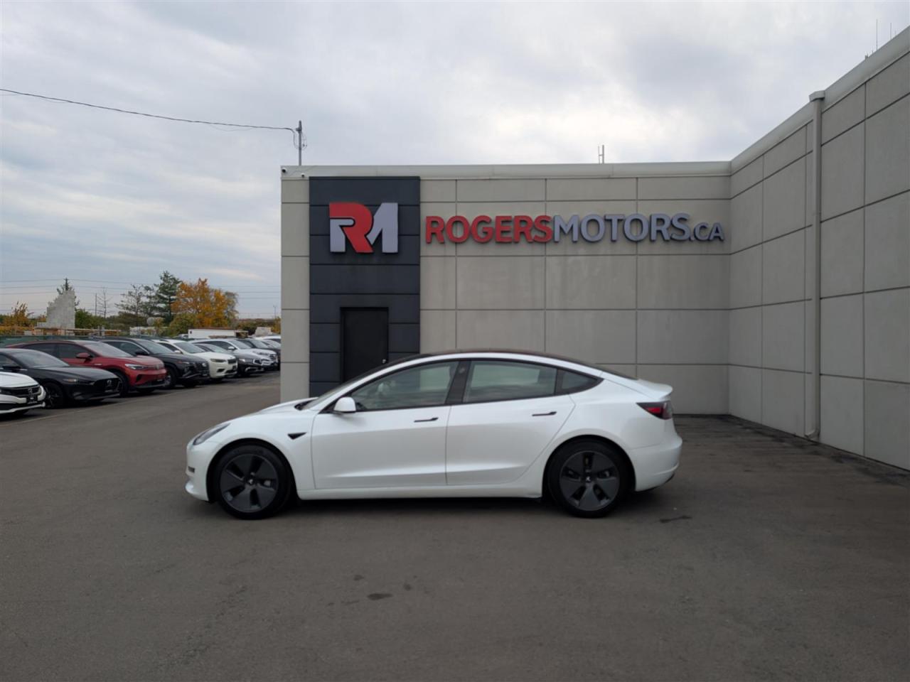 2021 Tesla Model 3 STANDARD RANGE PLUS Photo