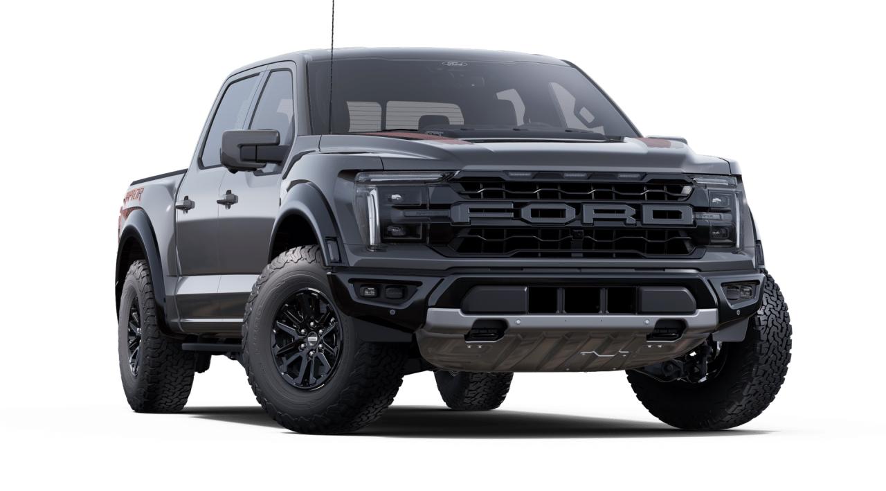 2025 Ford F-150 Raptor® Photo3