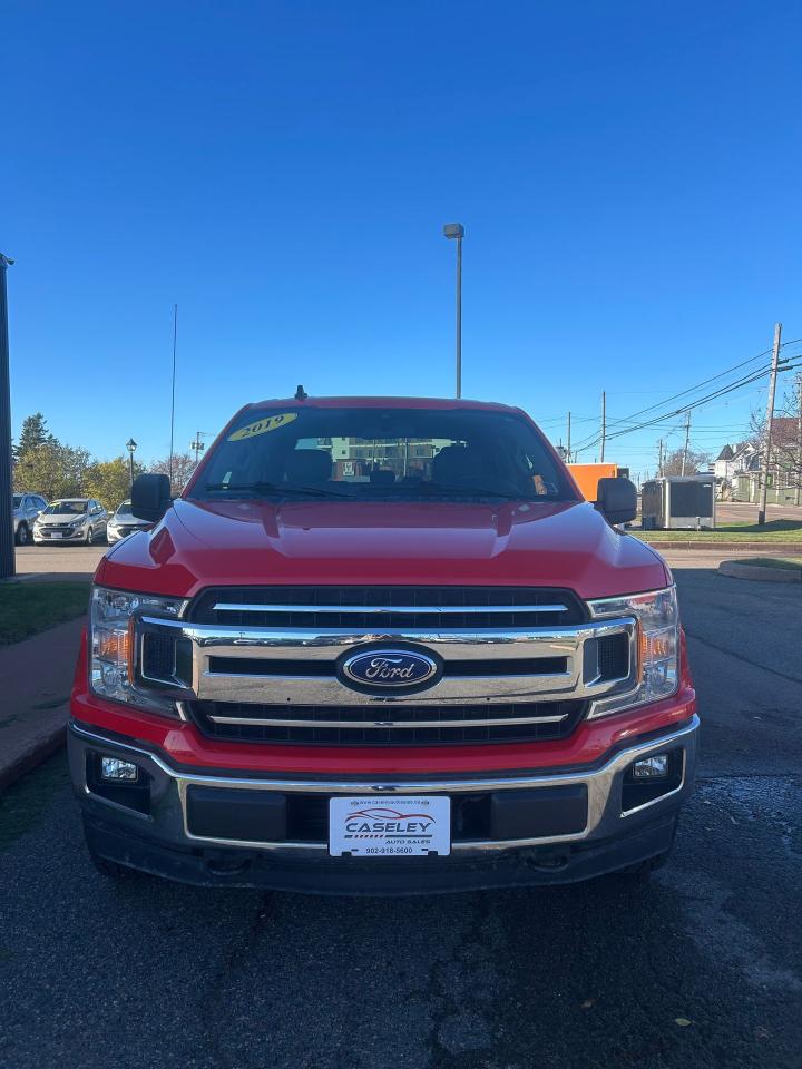 2019 Ford F-150 XL - Photo #2