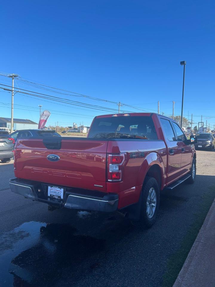 2019 Ford F-150 XL Photo3