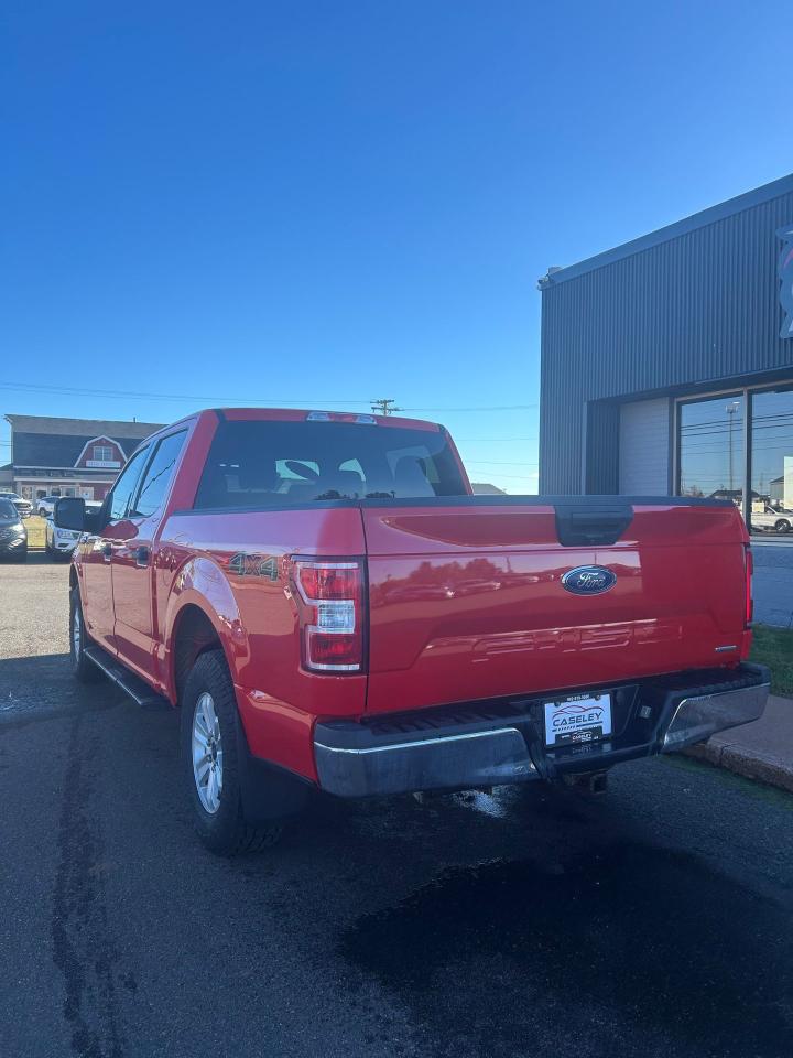 2019 Ford F-150 XL - Photo #6