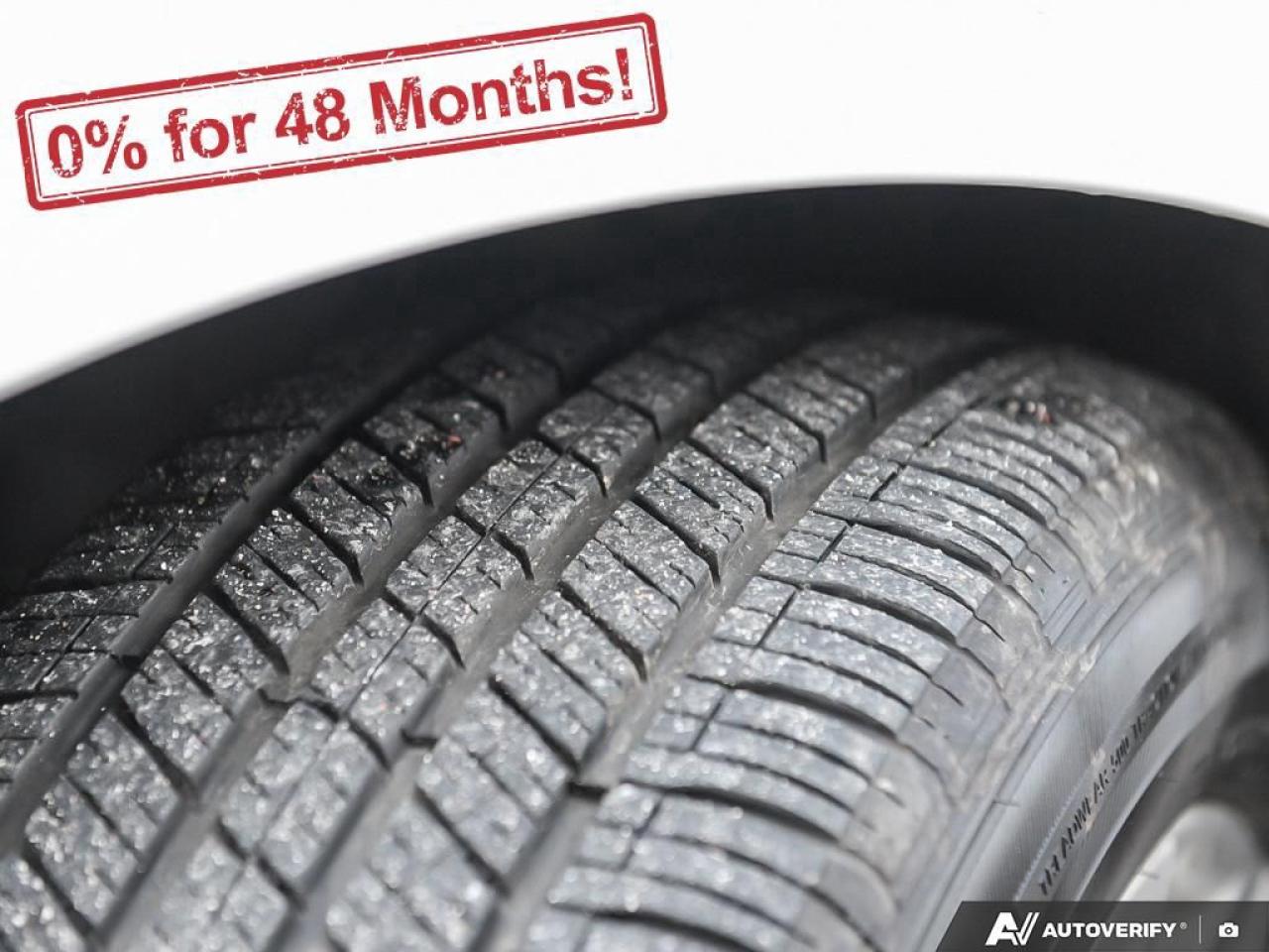 2023 Chevrolet Malibu 1LT Photo