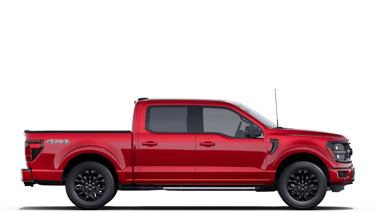 2025 Ford F-150 XLT 4WD SuperCrew 5.5' Box Photo4