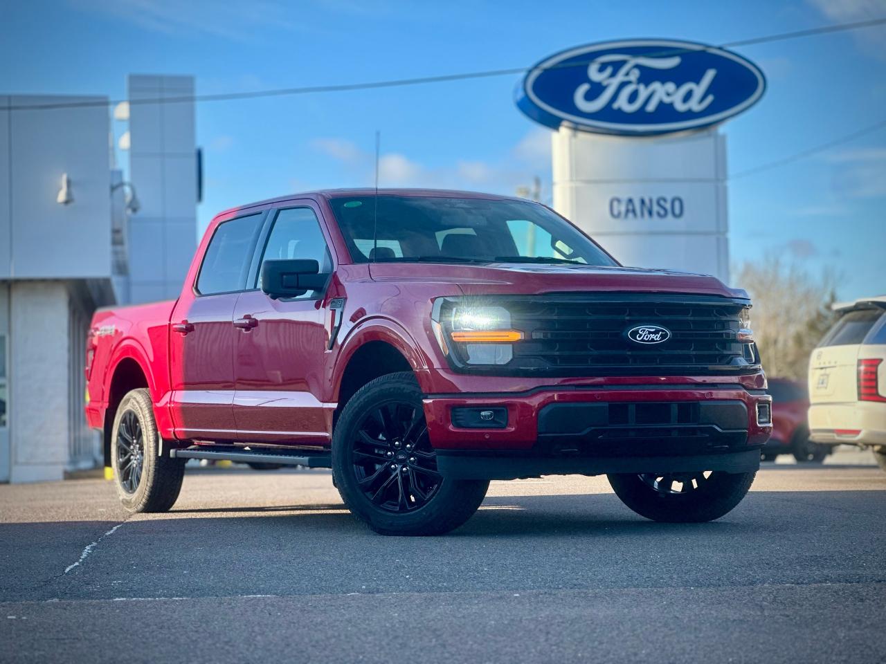 2025 Ford F-150 XLT 4WD SuperCrew 5.5' Box Photo0