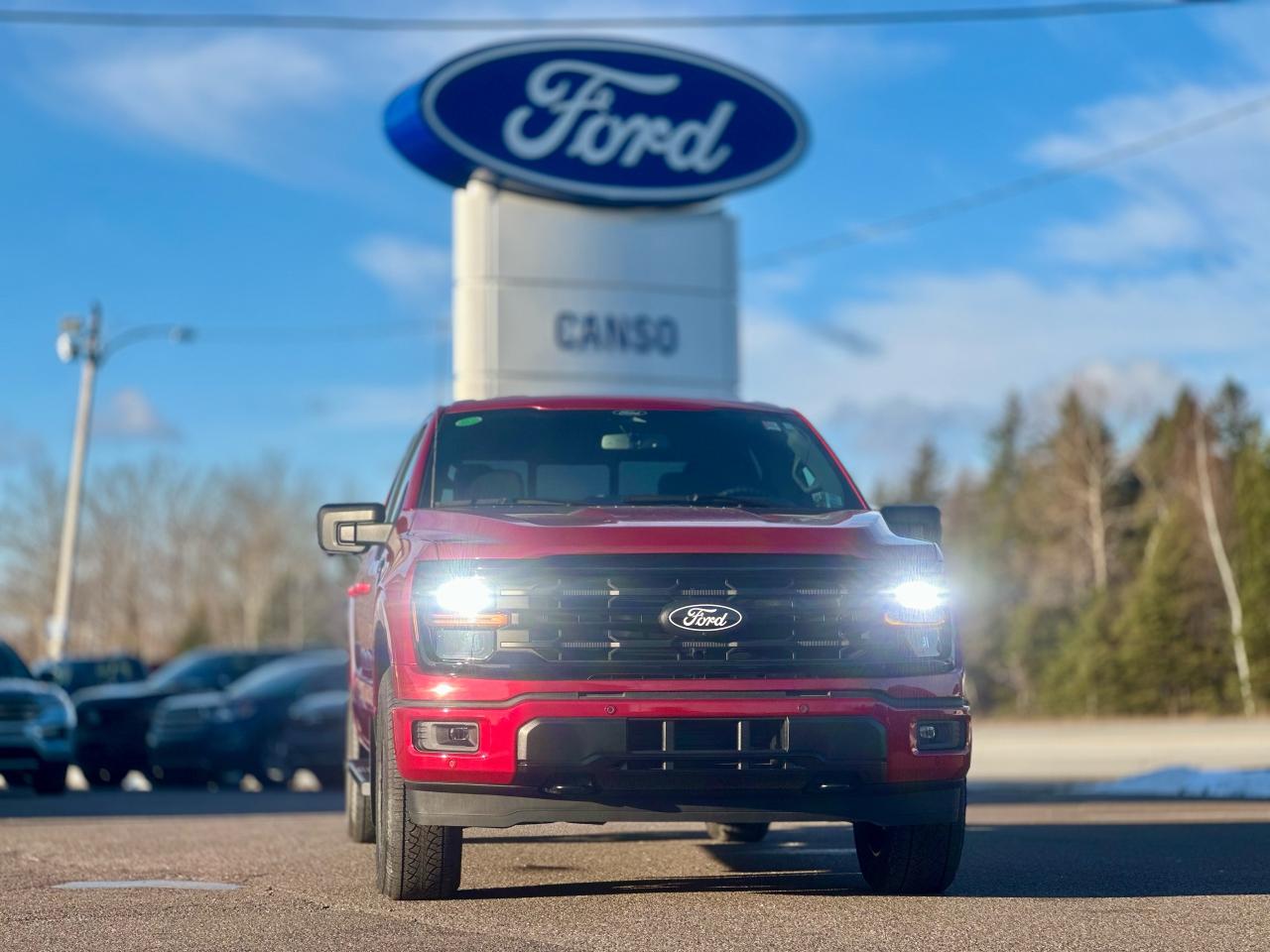 2025 Ford F-150 XLT 4WD SuperCrew 5.5' Box Photo1