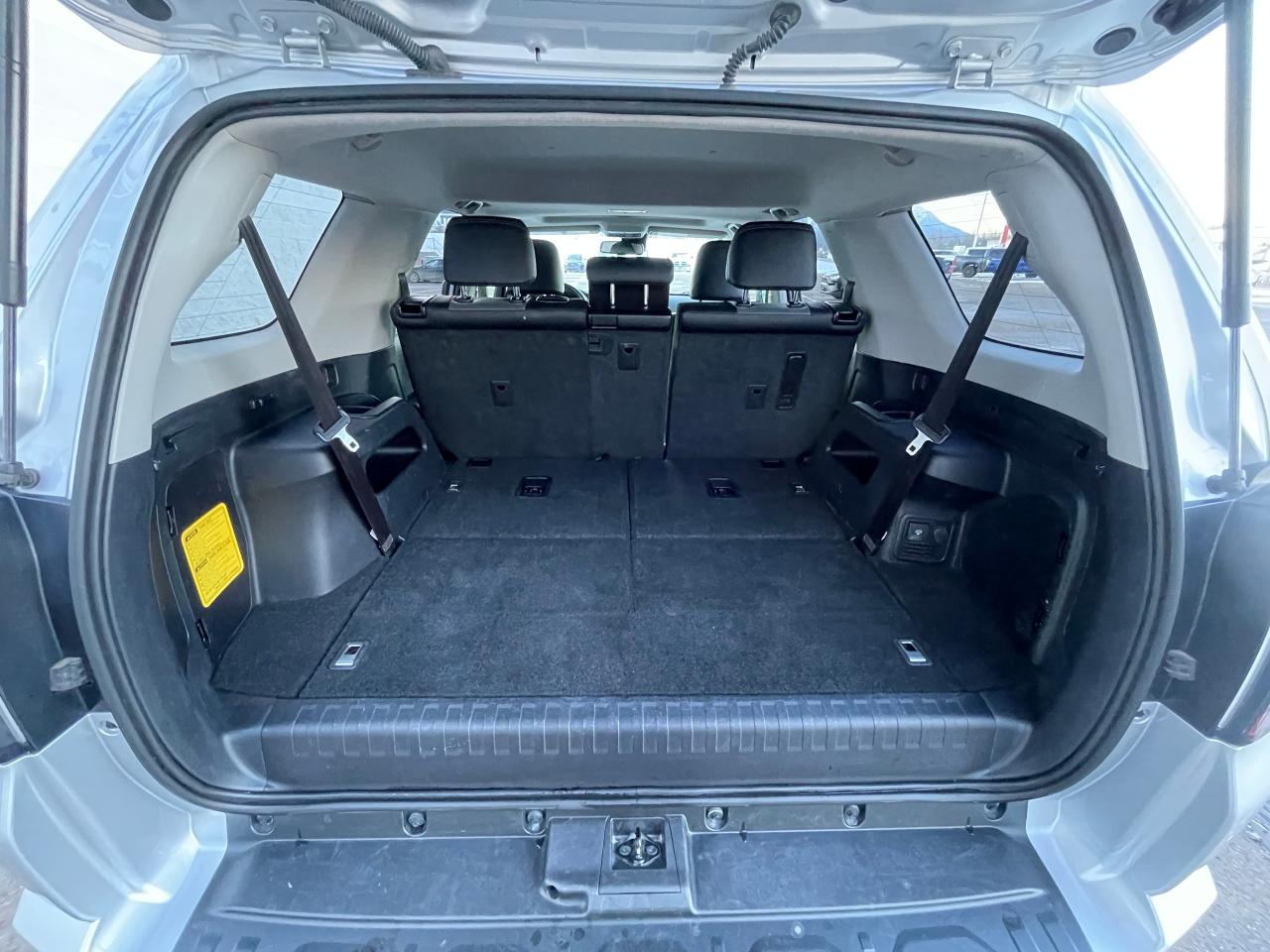 2023 Toyota 4Runner SR5 Photo