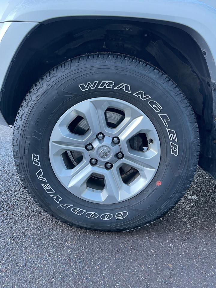 2023 Toyota 4Runner SR5 Photo