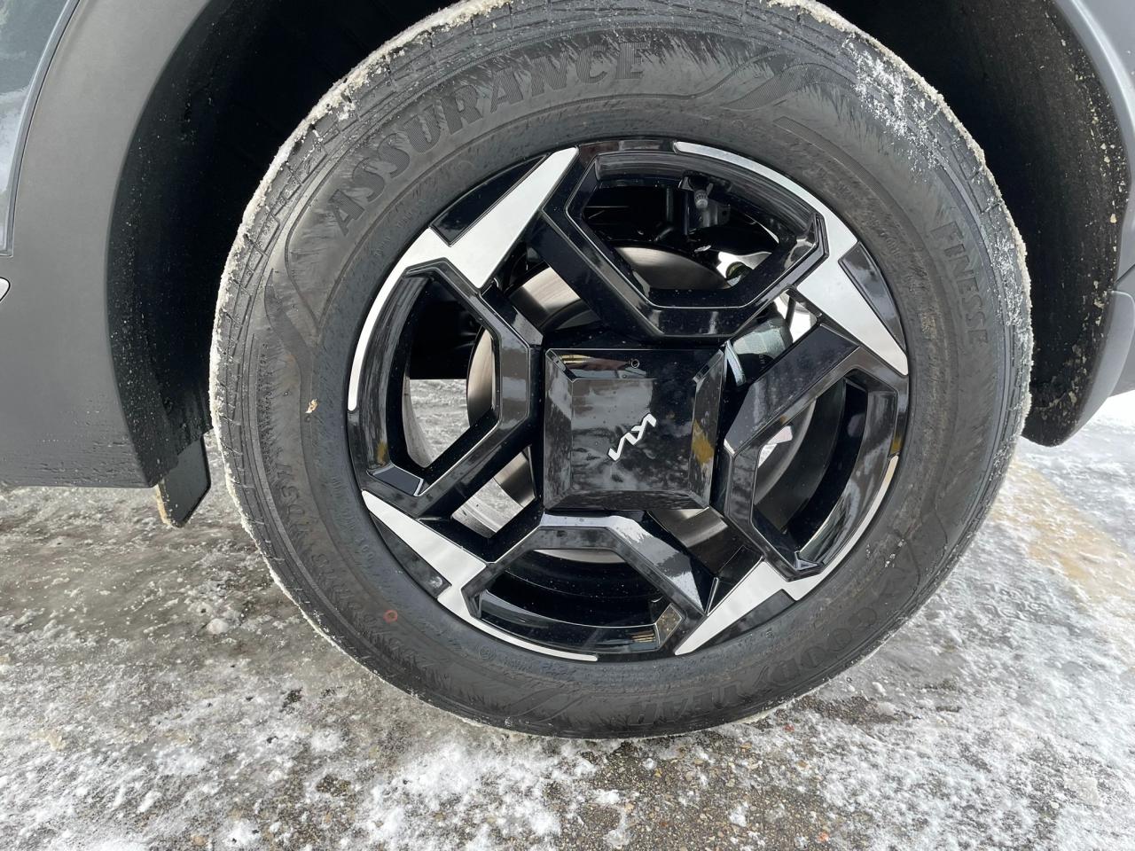 2026 Kia Sportage EX Photo