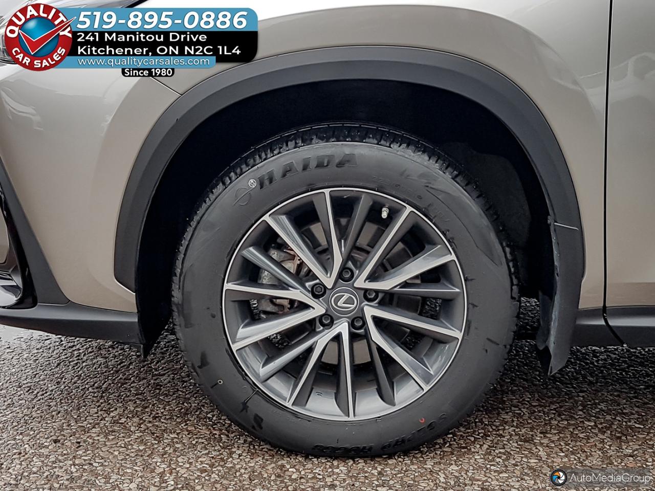 2023 Lexus NX 250 AWD *LEATHER-HEATED SEATS* Photo