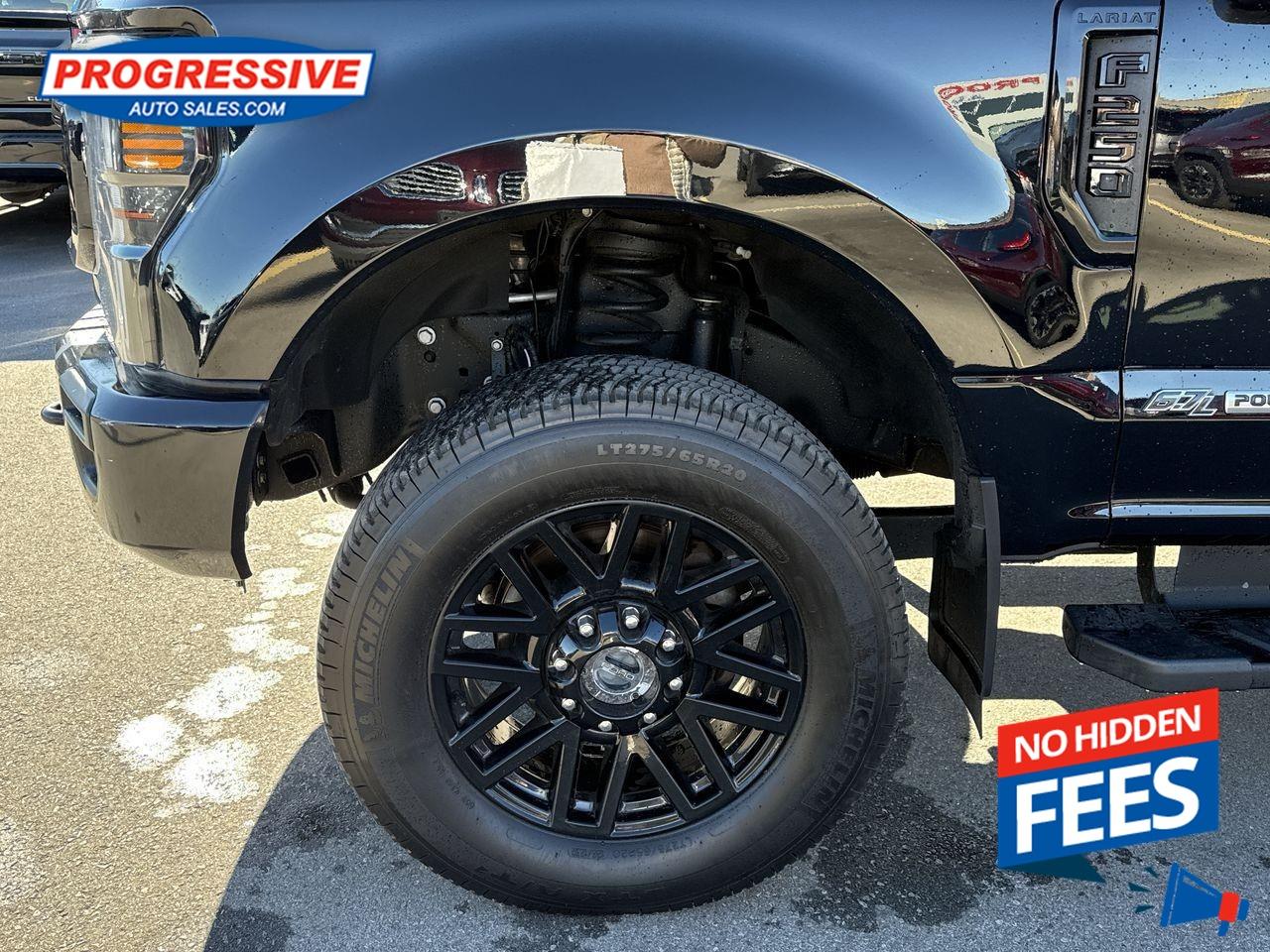 2021 Ford F-250 Platinum Photo