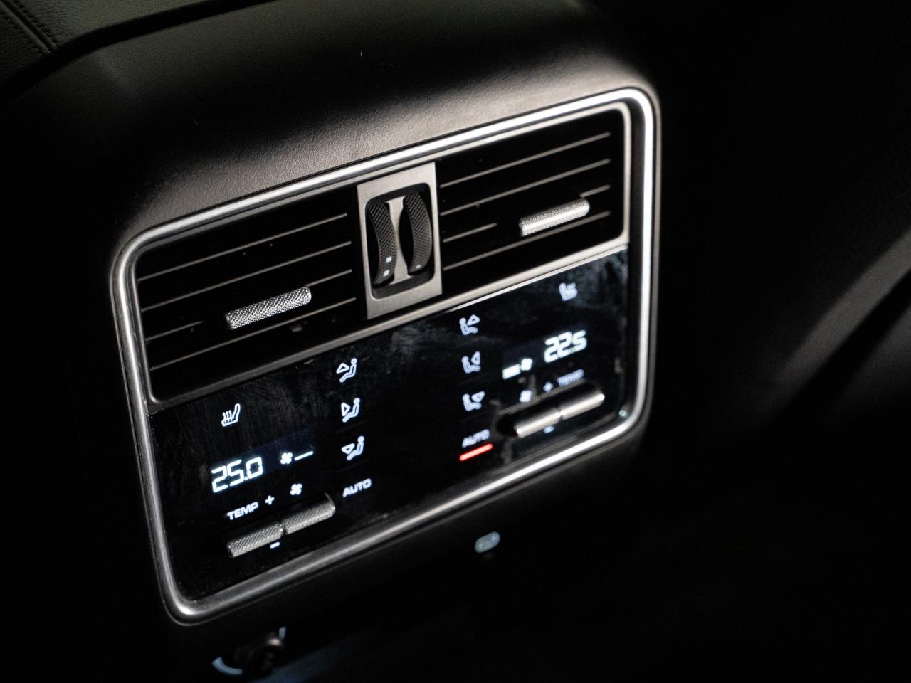 2020 Porsche Cayenne PREMIUM PLUS PKG | PANO | CARBON TRIM Photo