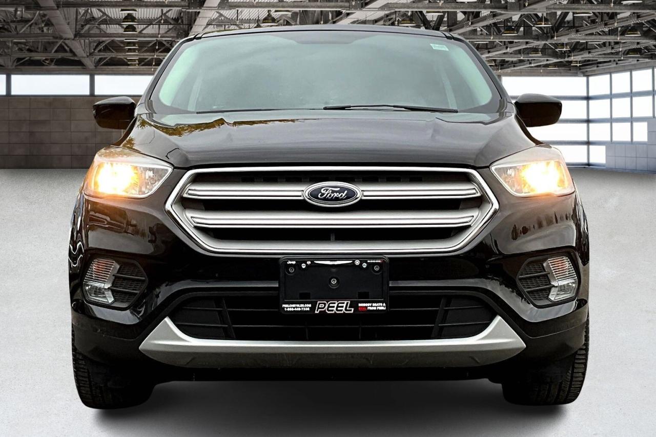 2019 Ford Escape SE | Heated Seats | Remote Start | NAV | FWD Photo