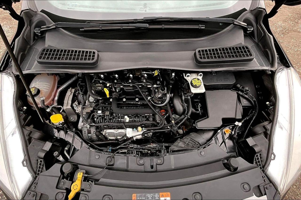 2019 Ford Escape SE | Heated Seats | Remote Start | NAV | FWD Photo