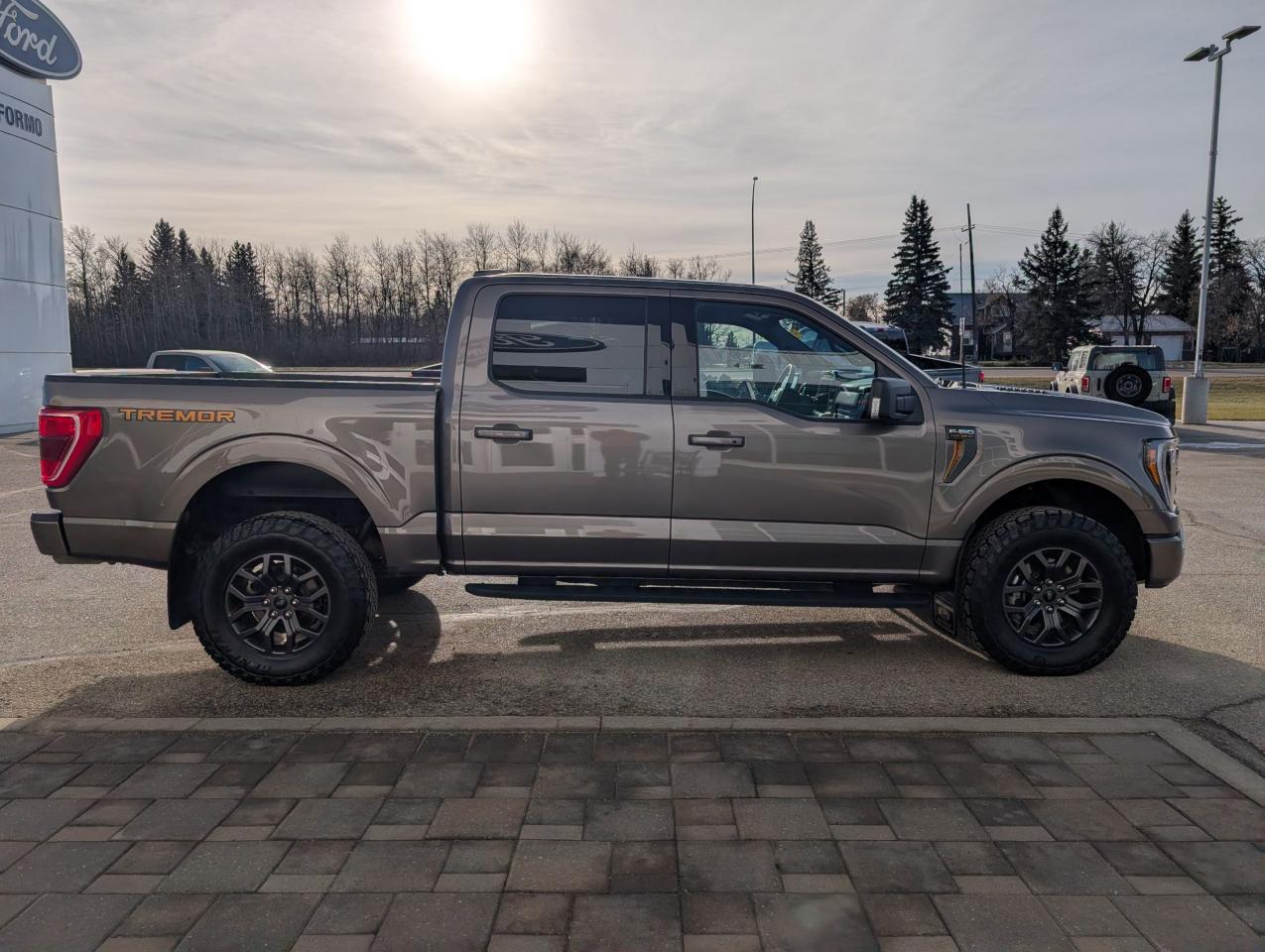 2023 Ford F-150 Tremor Photo4