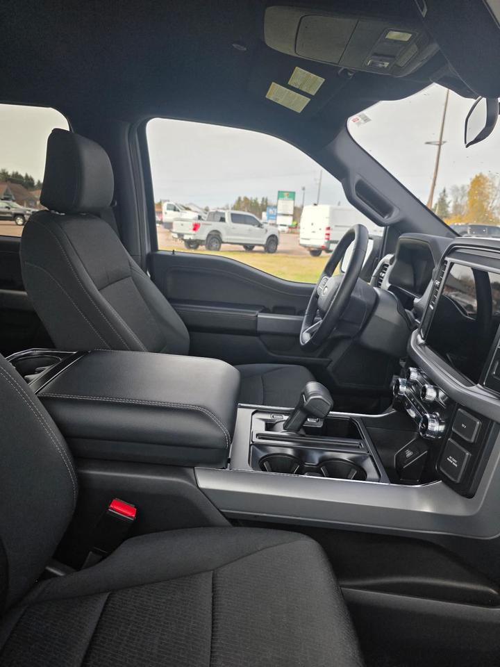 2025 Ford F-150 XLT Photo