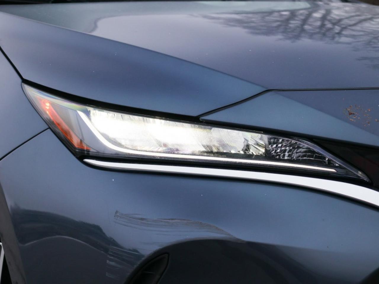 2024 Toyota Venza LE  - $292 B/W Photo