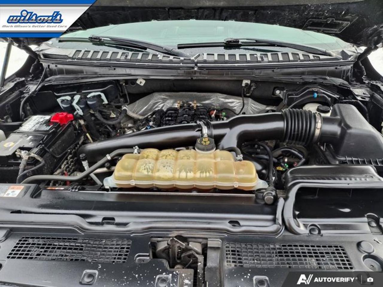 2020 Ford Expedition Limited | Leather | Sunroof | Nav | 360 Camera | HD Tow Pkg | Heated Wheel | Cooled Seats & More Photo