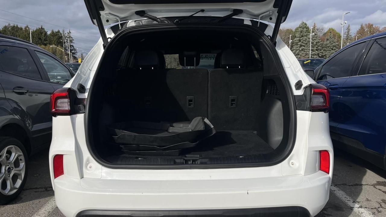 2023 Ford Escape ST-Line Photo