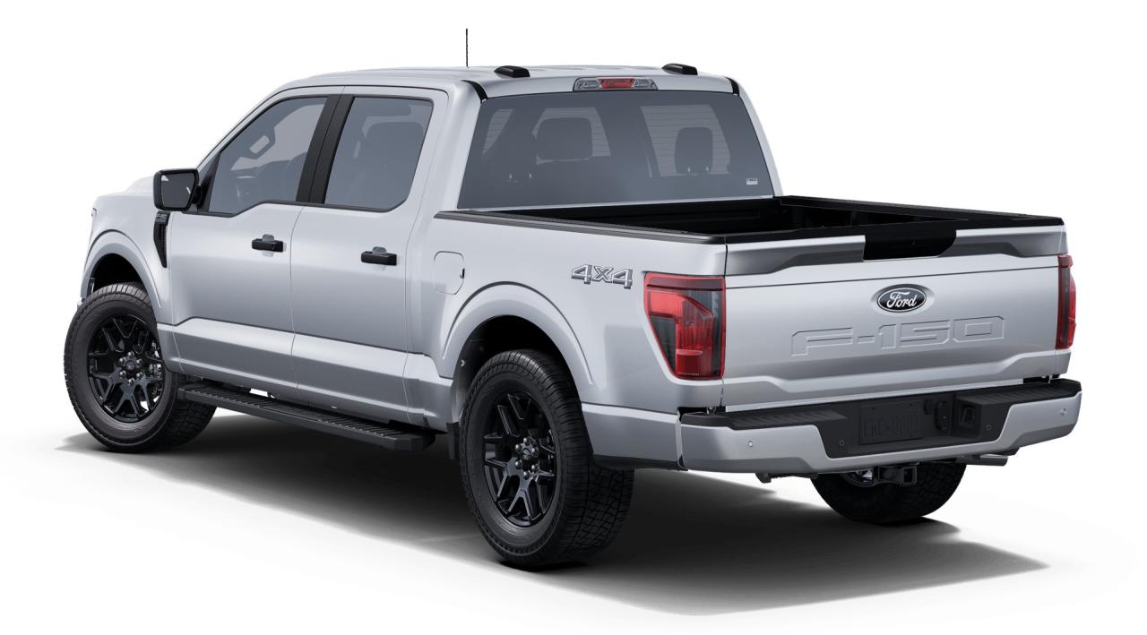 2025 Ford F-150 STX Photo