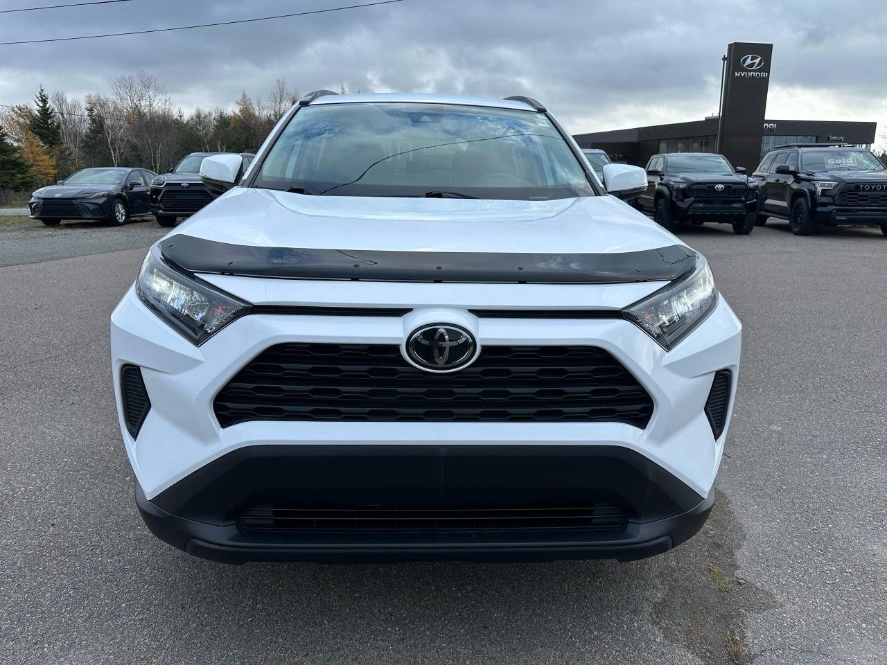 2019 Toyota RAV4 AWD LE Photo