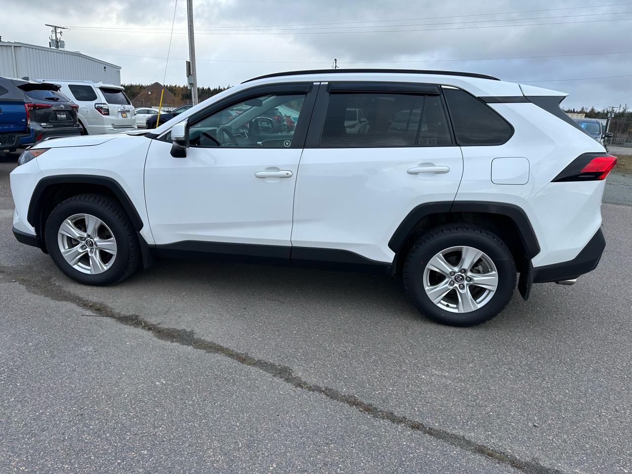 2019 Toyota RAV4 AWD LE Photo
