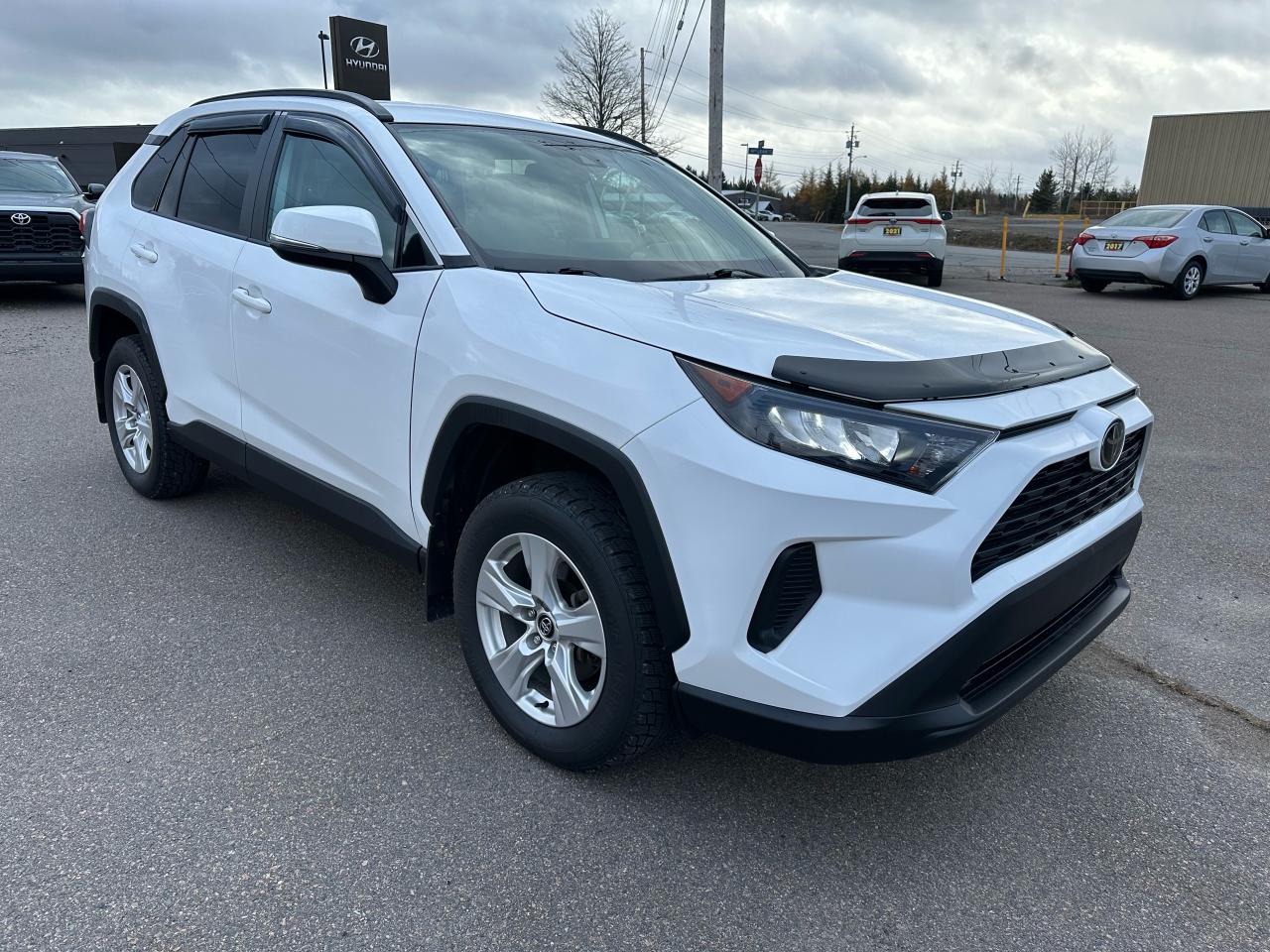 2019 Toyota RAV4 AWD LE Photo