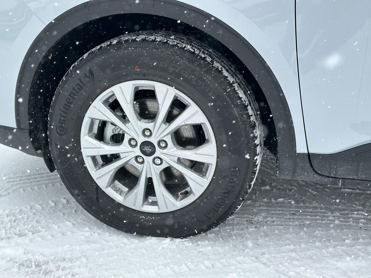 2025 Ford Escape Active AWD Photo