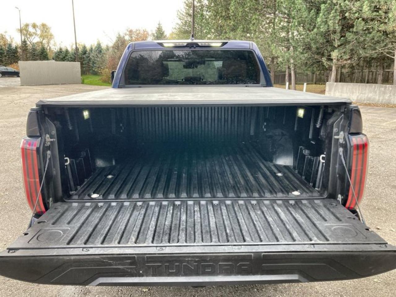 2022 Toyota Tundra Platinum Hybrid 1794 Edition Photo