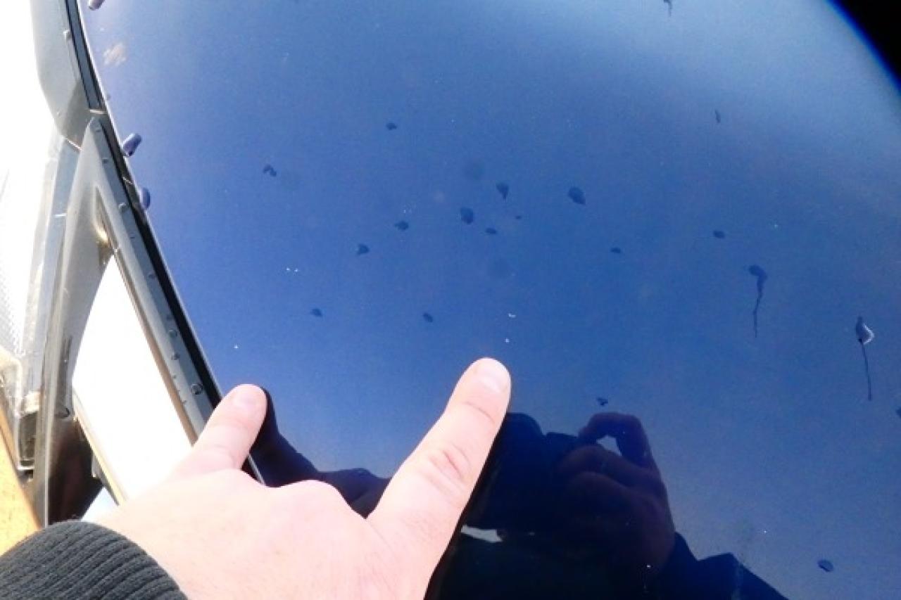 2024 Nissan Rogue SL AWD w/Htd Leather, pano S/R, NAV, BUC - Photo #40