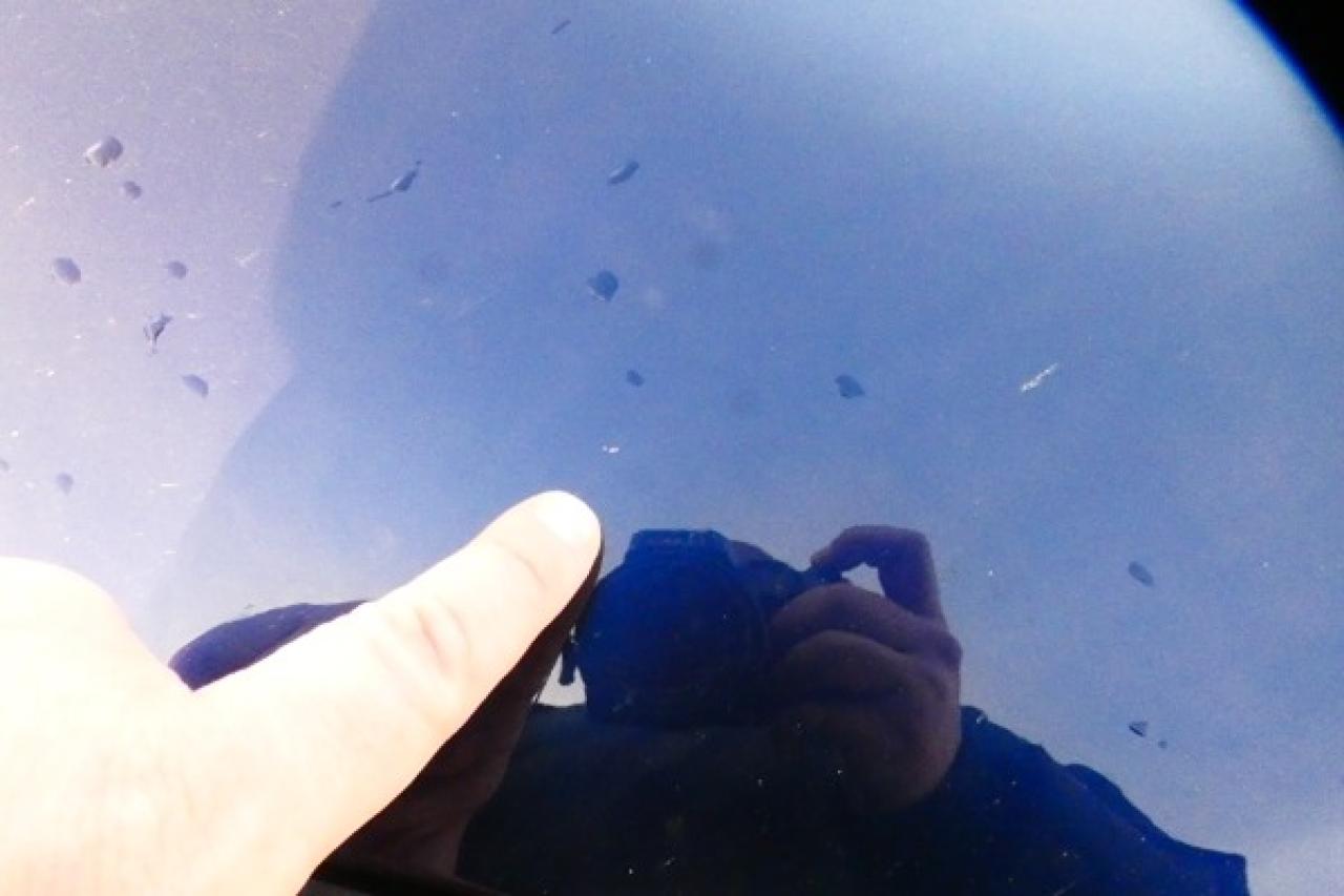 2024 Nissan Rogue SL AWD w/Htd Leather, pano S/R, NAV, BUC - Photo #37