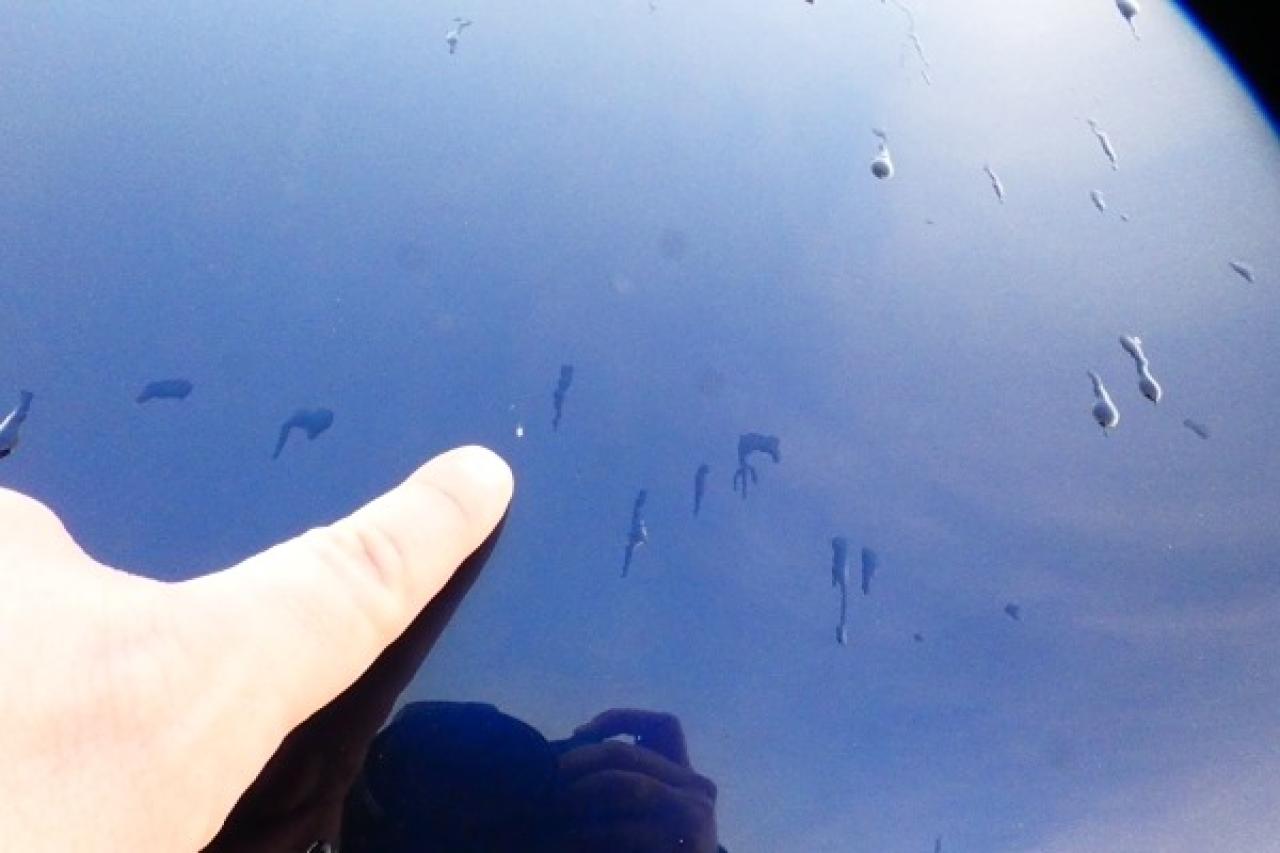 2024 Nissan Rogue SL AWD w/Htd Leather, pano S/R, NAV, BUC - Photo #38