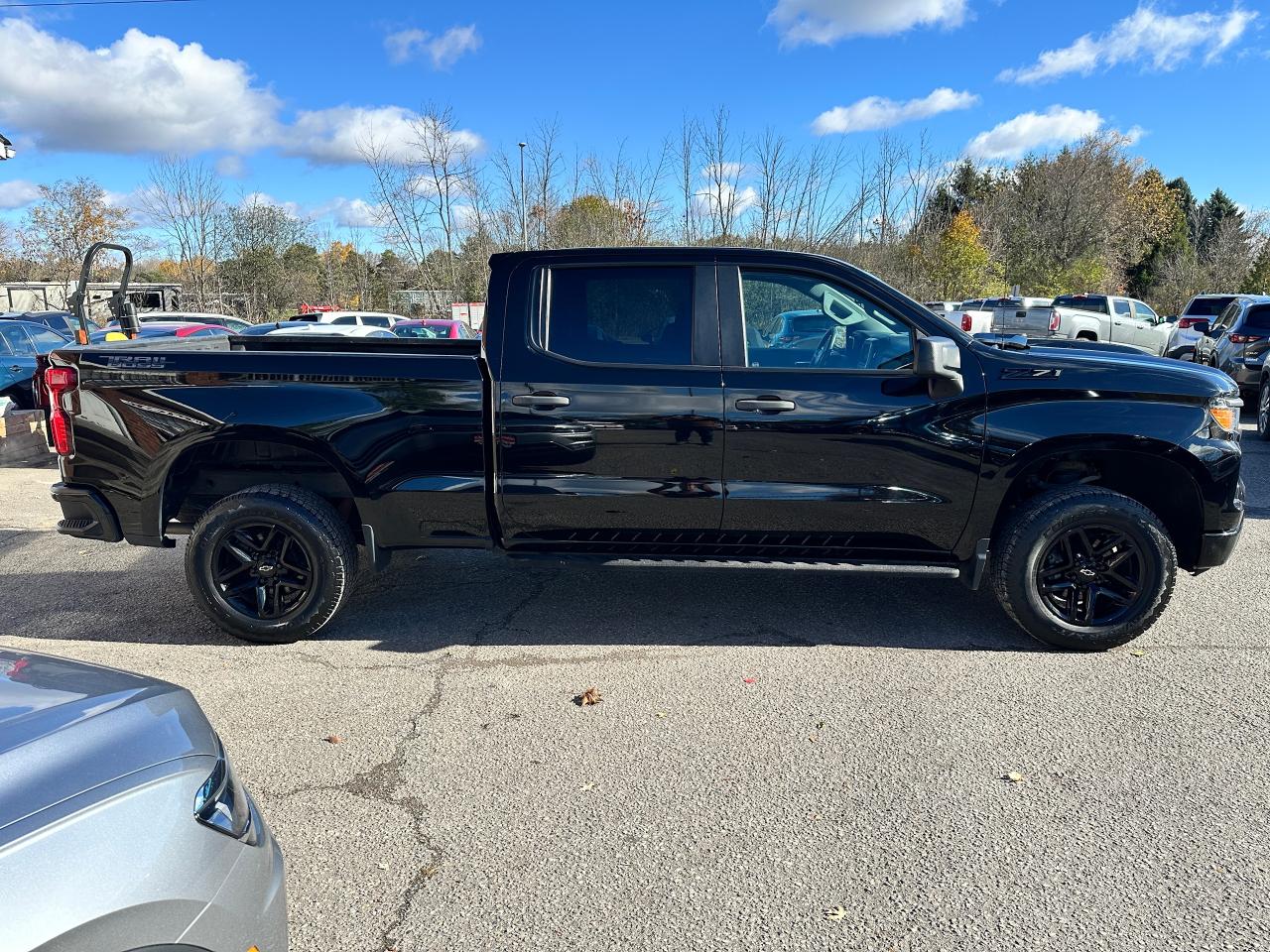 2022 Chevrolet Silverado 1500 Custom TrailBoss Cloth XM CarPlay BackupCam 6.5Box Photo4