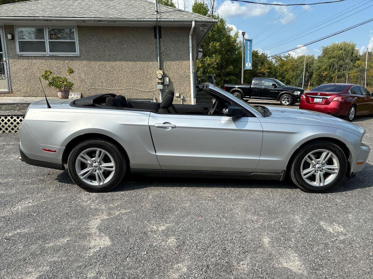 2010 Ford Mustang V6 Photo