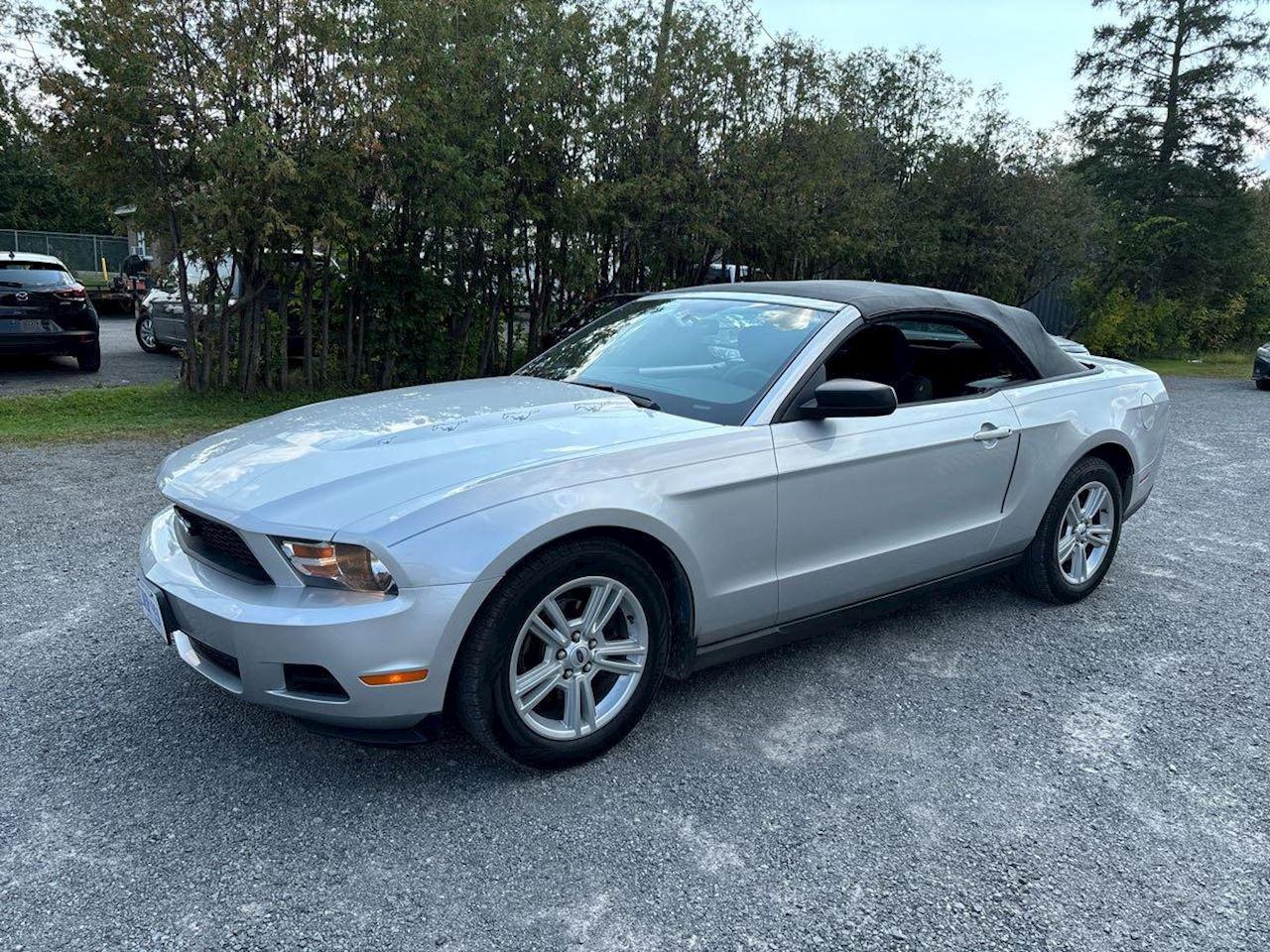 2010 Ford Mustang V6 Photo
