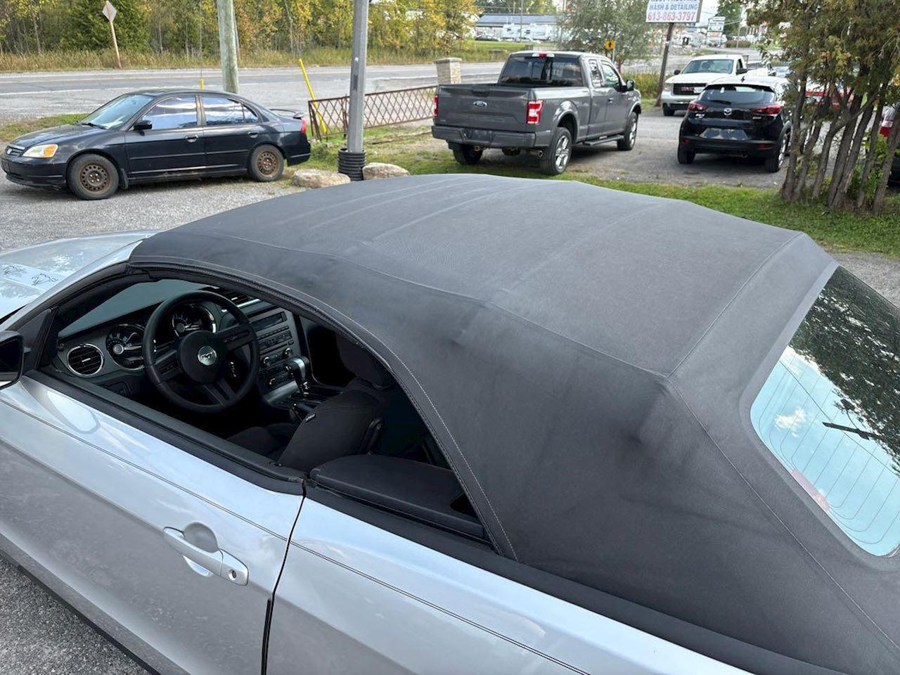 2010 Ford Mustang V6 Photo